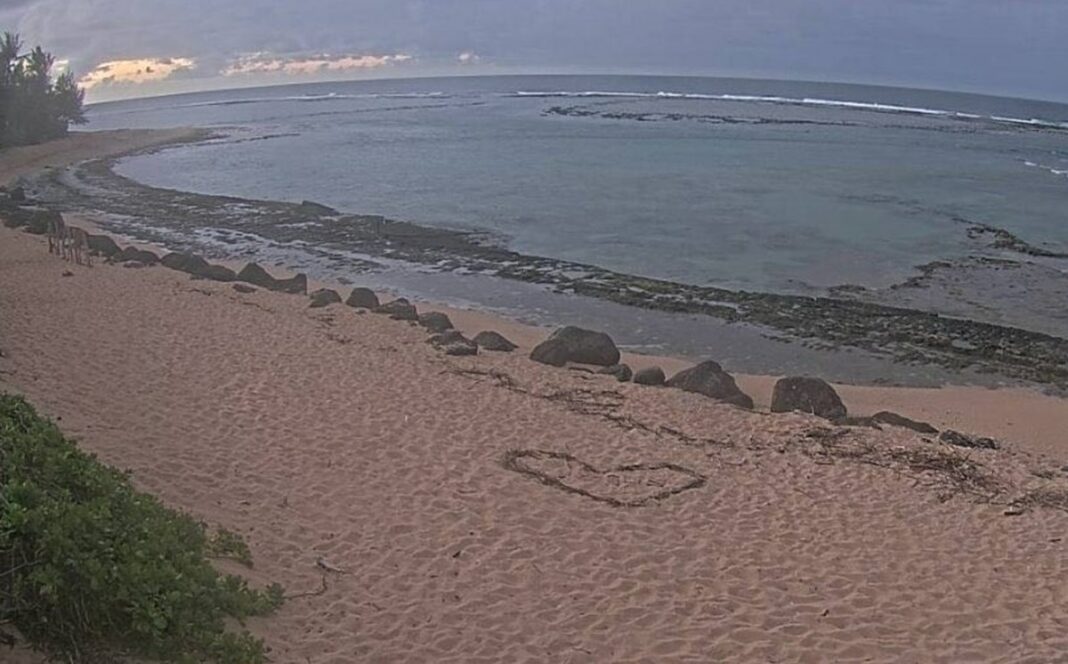 880d0a06-d115-4434-b9ad-50a061bfbe0d