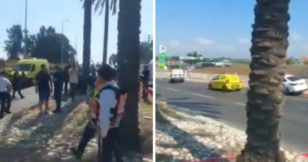 e5dc4e96-6db7-4769-9420-c3ac28b80786