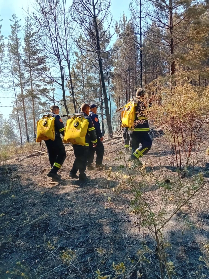 ekipa na Nacionalni sumi