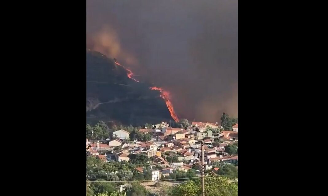 Кипар пожари