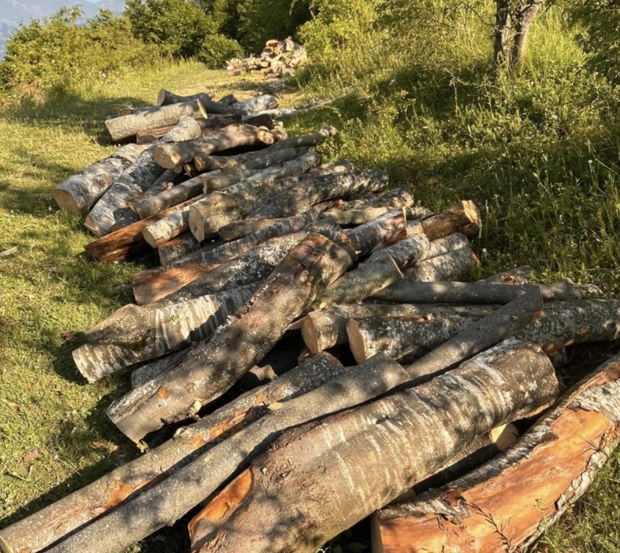 kradeni drga sar planina