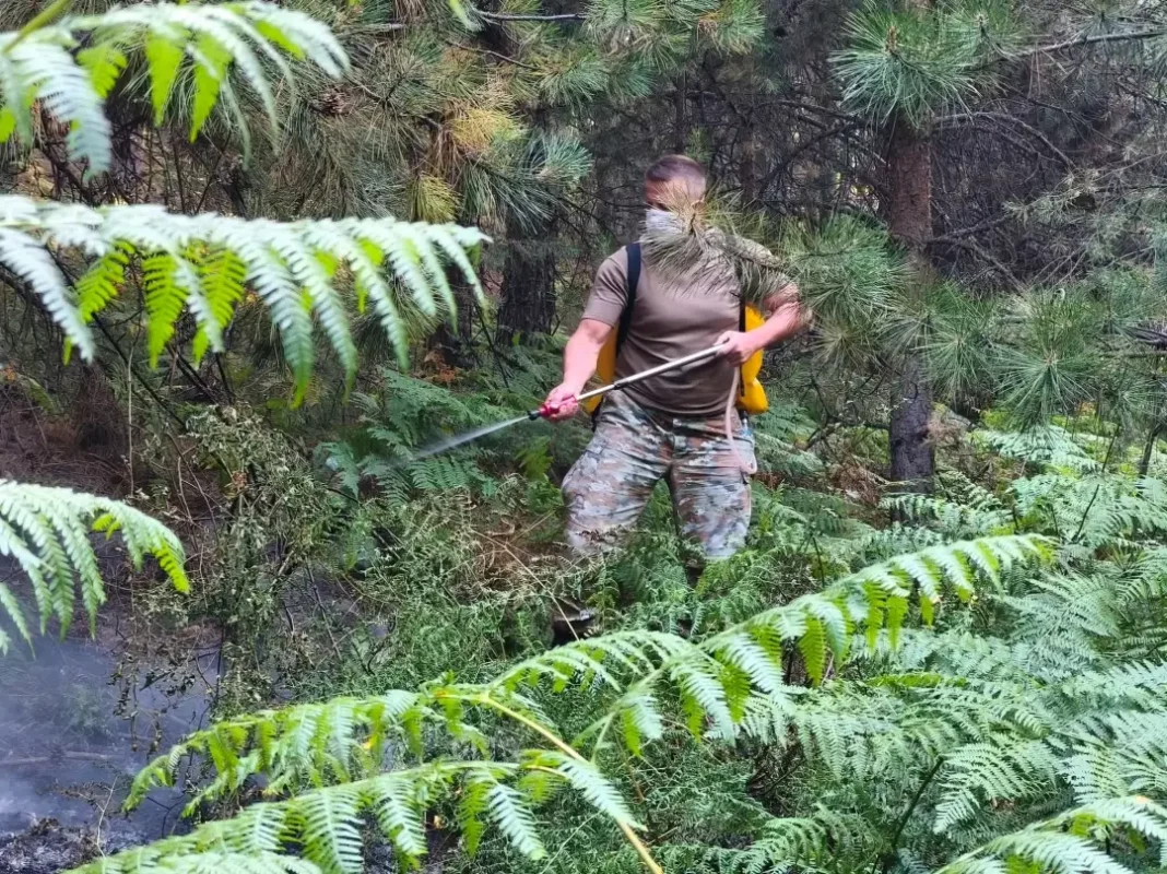 makedonska kamenica - pozar 2