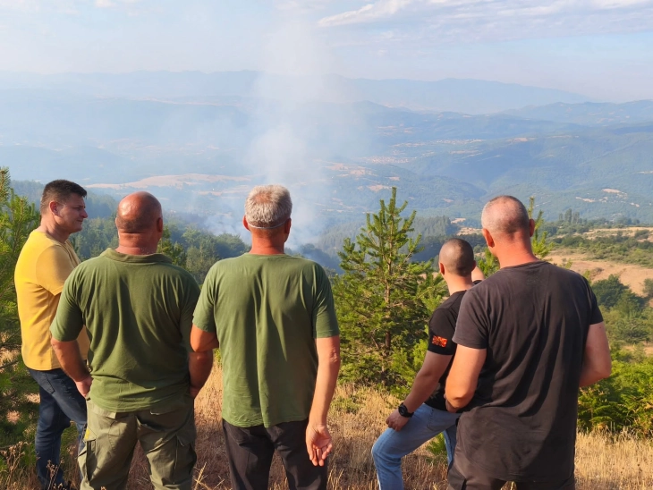 makedonska kamenica - pozar