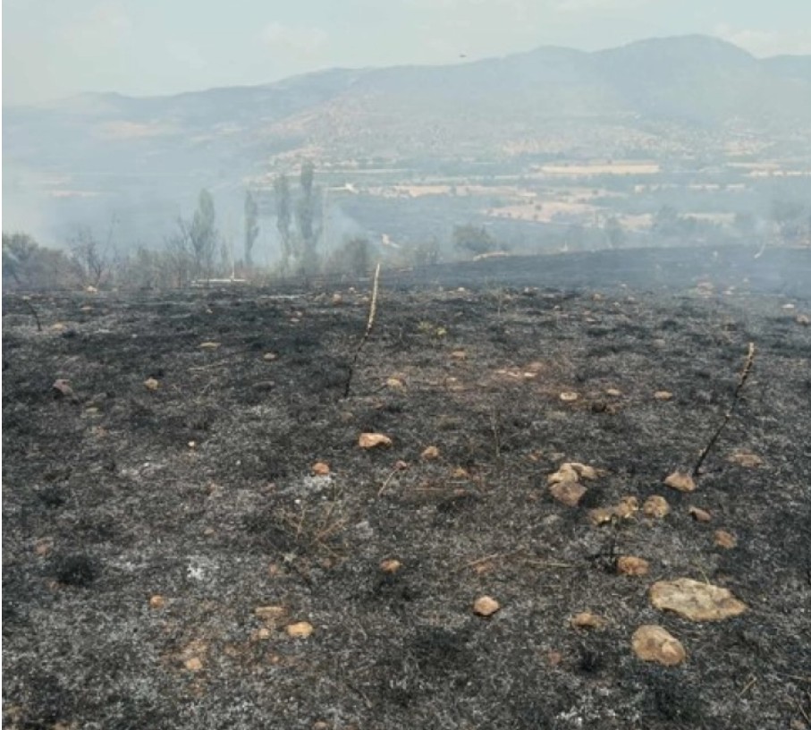 pozar rugjince kumanovsko