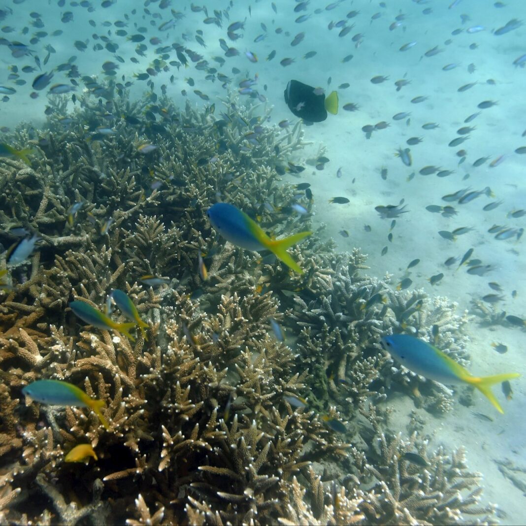 acee12bf-3da2-4a17-b6c3-50b64a78fc3c