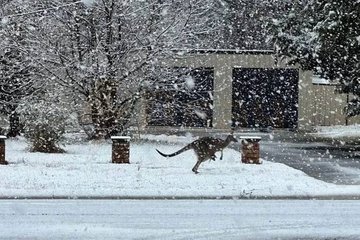 Австралија снег