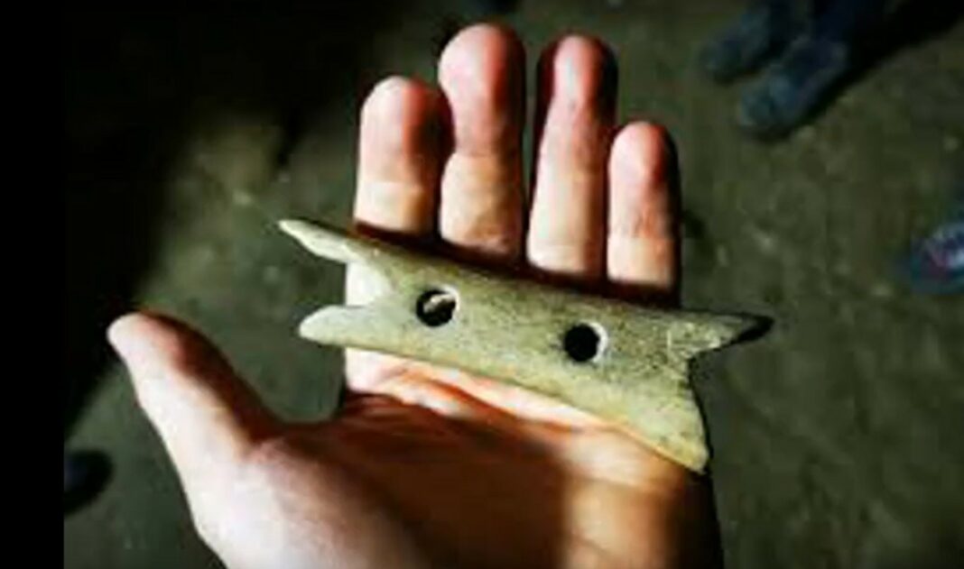 Флејта дивје бабе