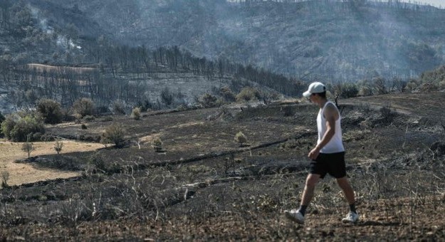 Франција пожари