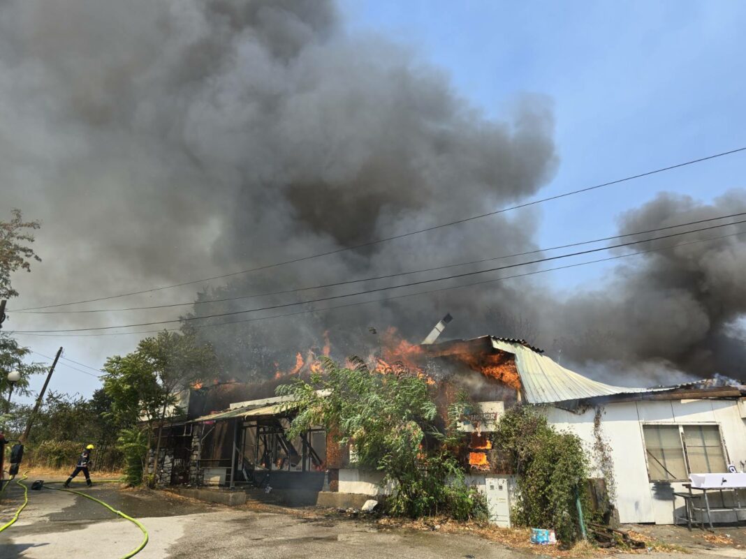 viber_image_2025-08-21_16-14-51-229