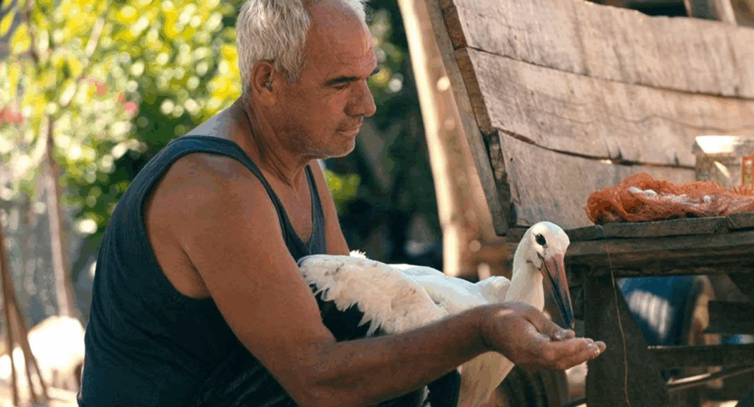 Screenshot 2025-09-09 131155