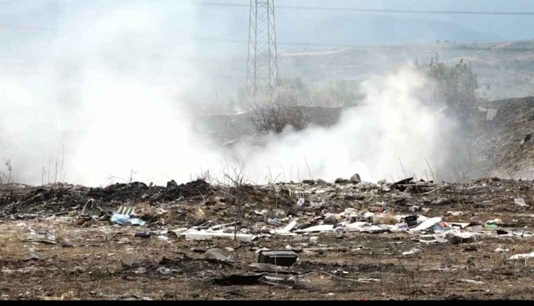 vardariste deneska 1