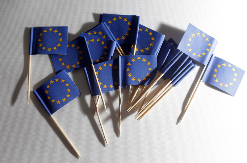 Feature on EU parliament elections