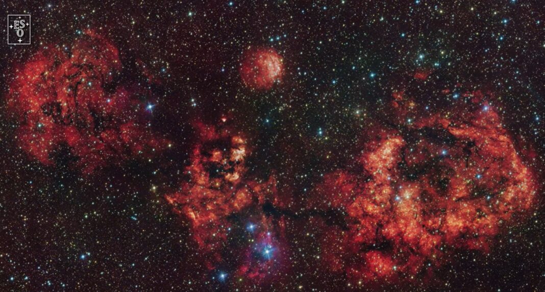 Лилјак соѕвездие