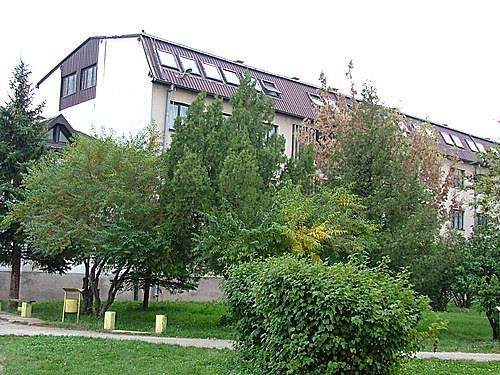 mirka ginova bitola dom