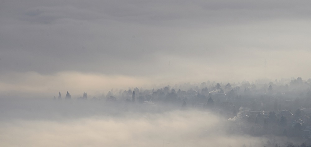 Thick fog engulfs Sofia