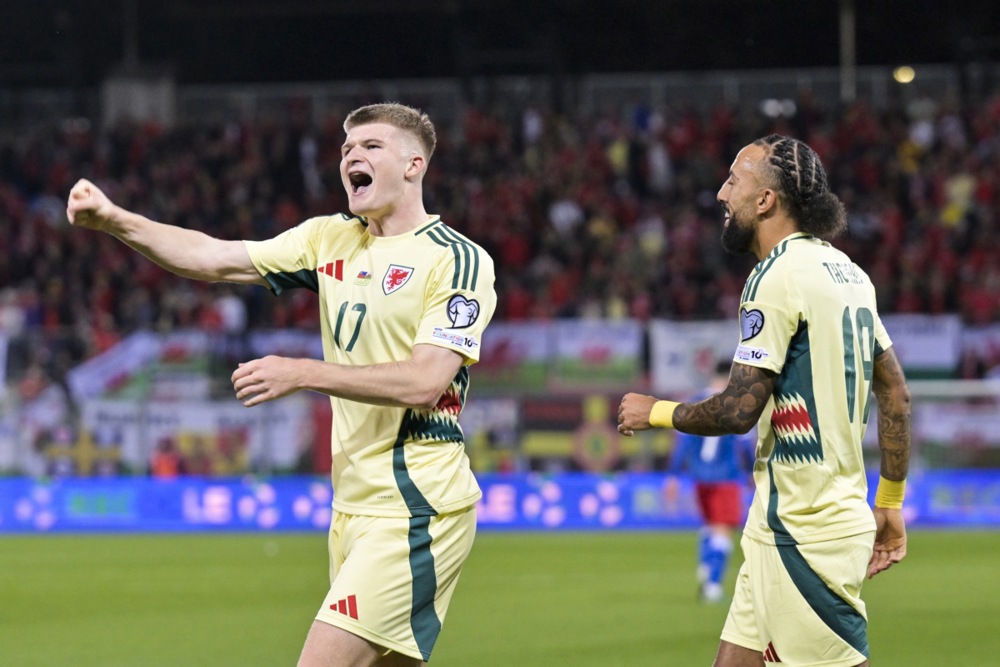 FIFA World Cup 26 UEFA Qualifiers - Liechtenstein vs Wales
