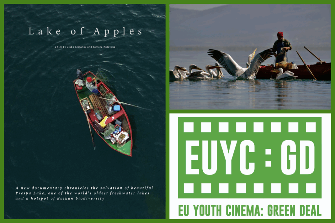 616b0e2b-5b86-fb61-4898-a06e9373e918