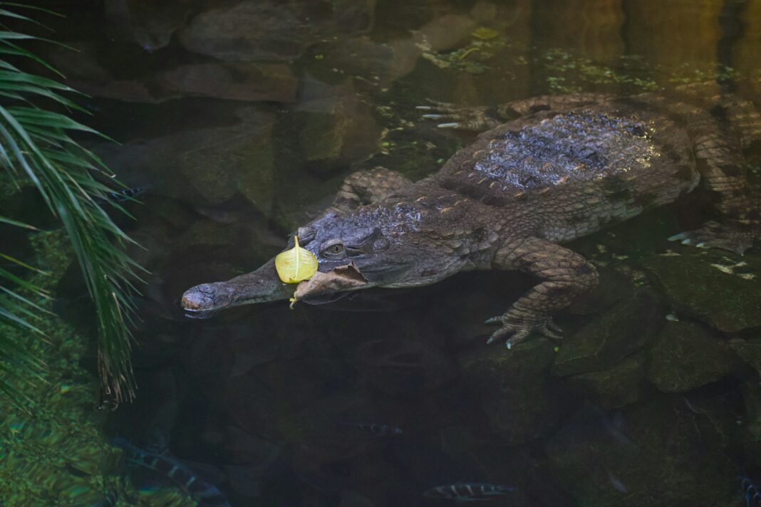 jakub-neskora-DVOhwMP1LZo-unsplash