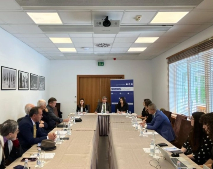 makedonci vo albanija - OBSE