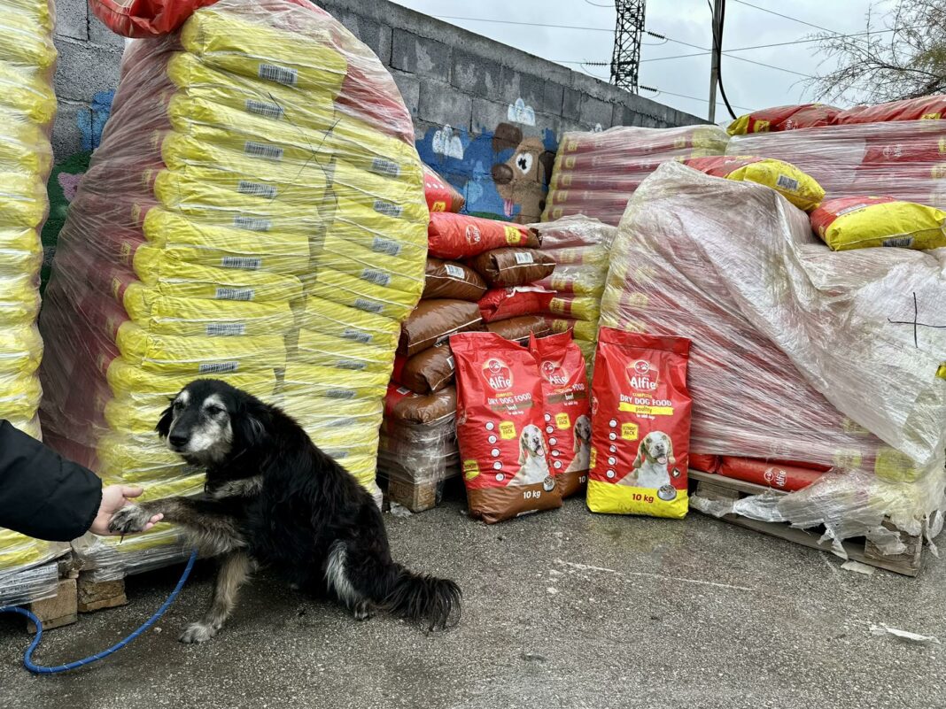 viber_image_2025-11-18_14-49-45-579