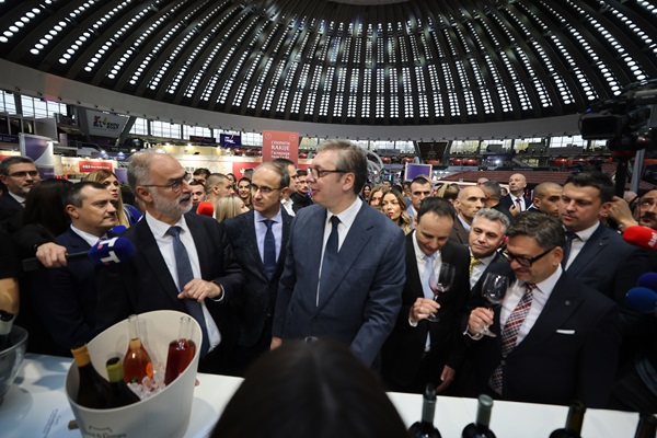 vinka vizija stoilkovic vucic