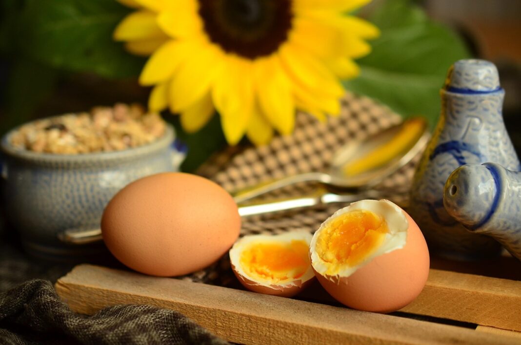 eggs-869300_1280