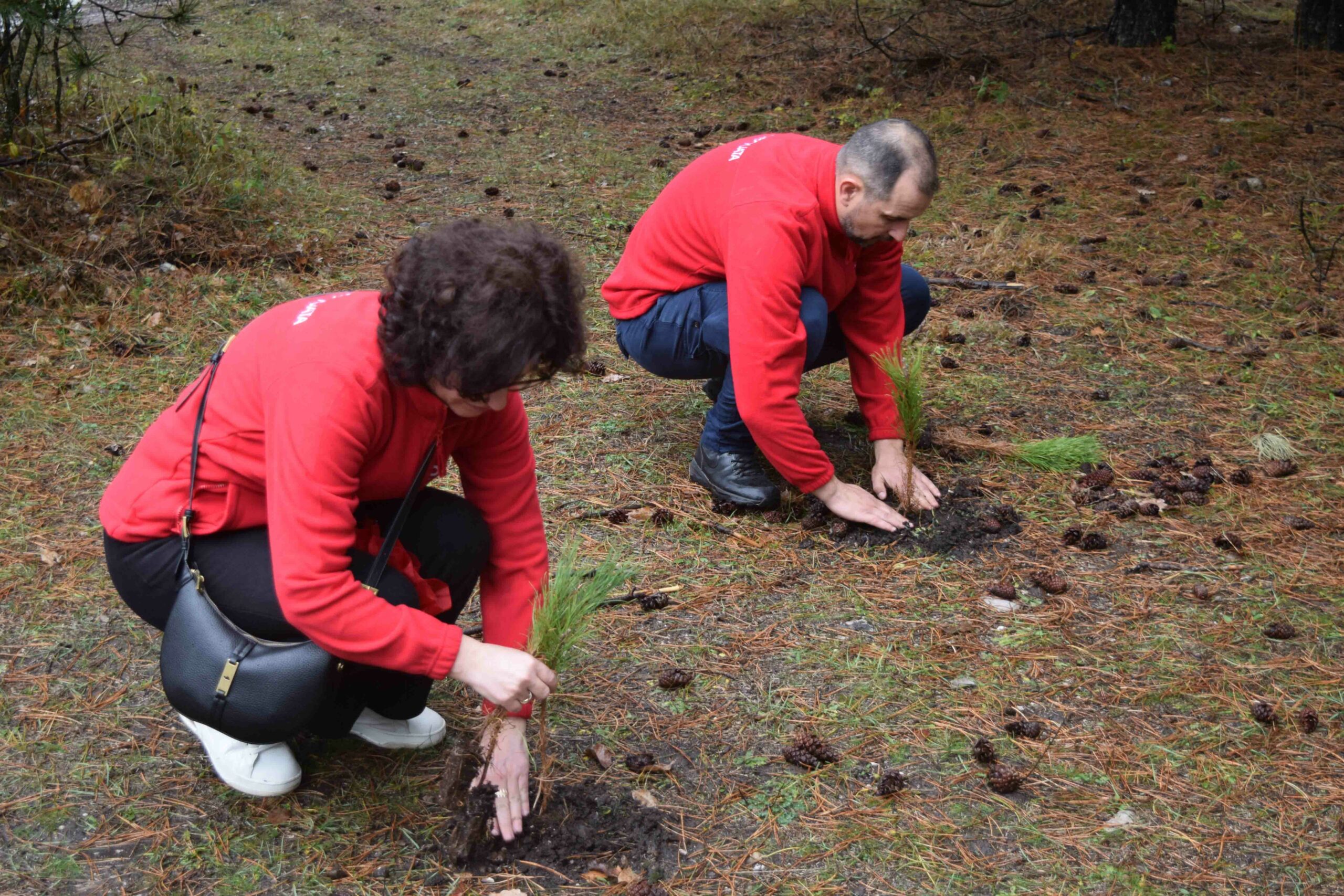 OKTA се приклучува на мисијата за пошумување во Јасен