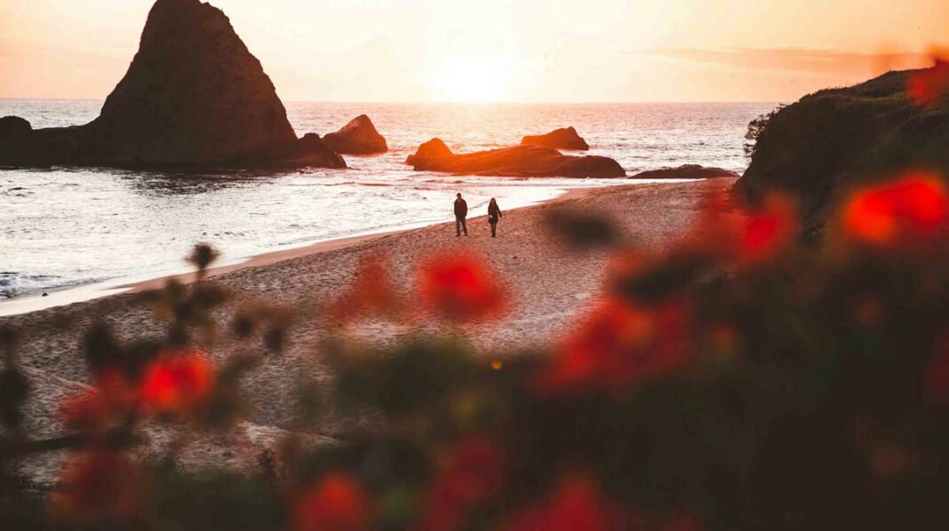 kristina_pota_radulovic_nezavrseni_poslovi_mkd.mk