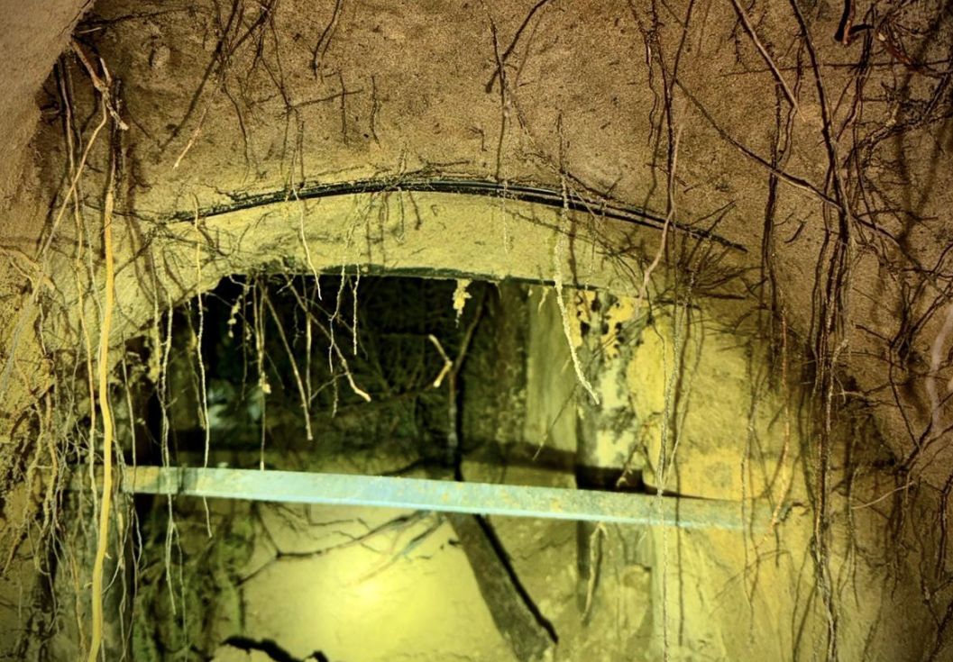 Screenshot 2025-12-13 174443