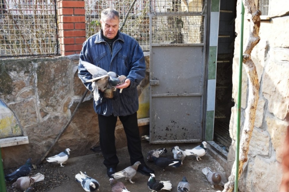 gulab vrtac printskrin