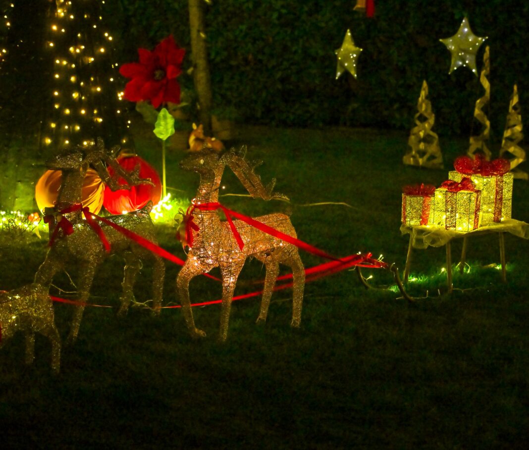 najdobar dvor skopje