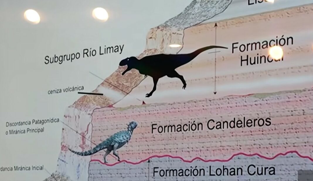 Фосил најмал дино