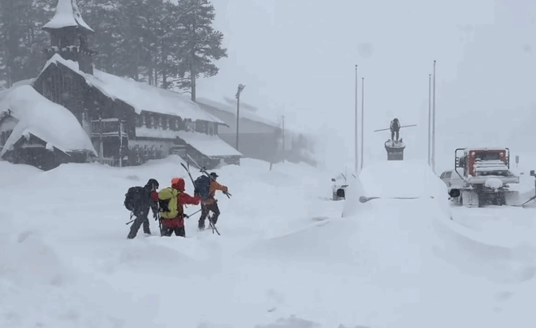 Screenshot 2026-02-19 103239