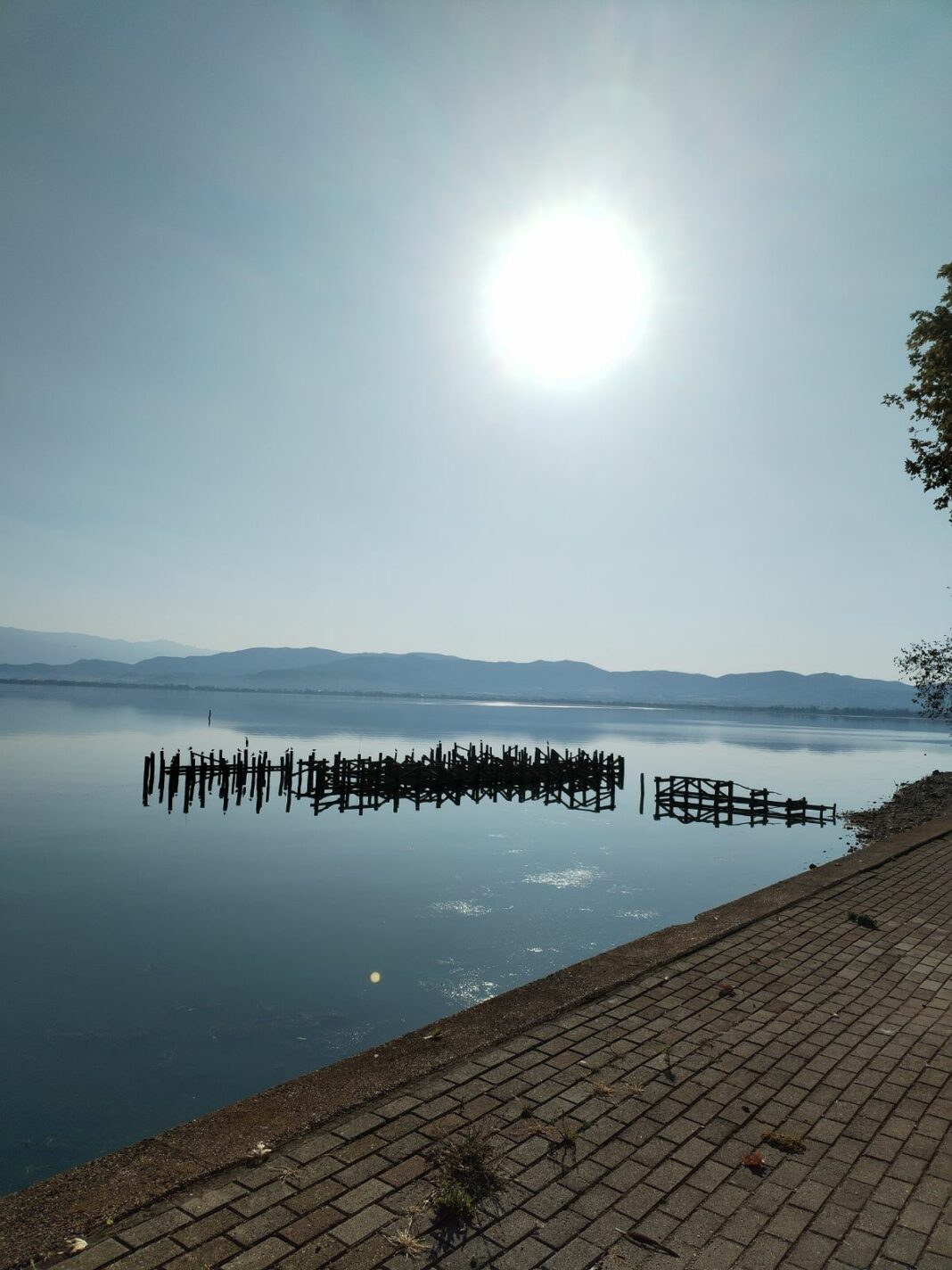 dojran