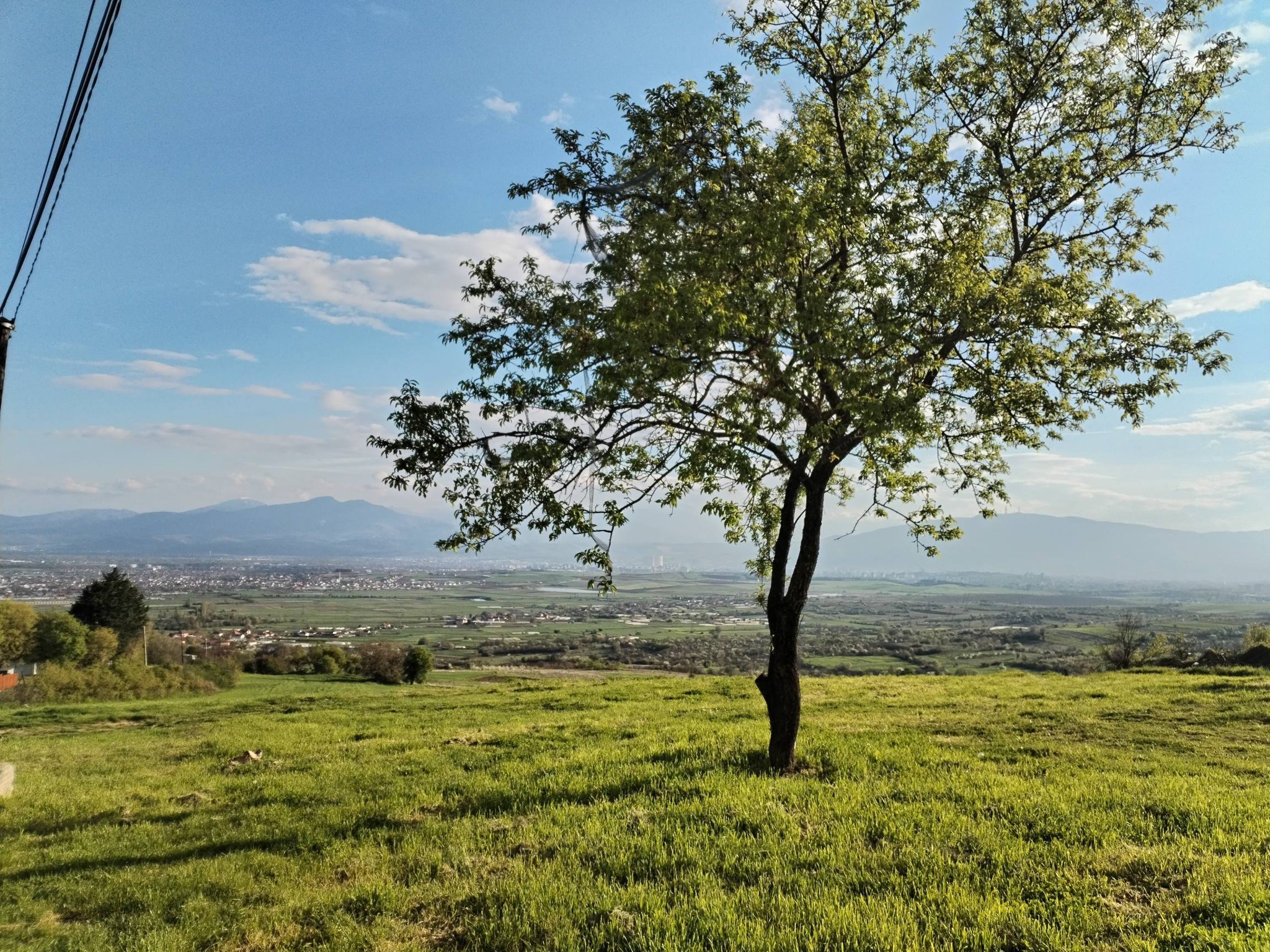 Сончево и топло, попладне локална нестабилност