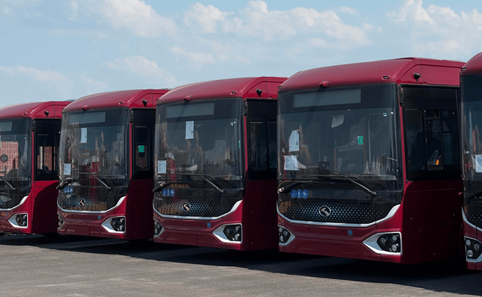 bus