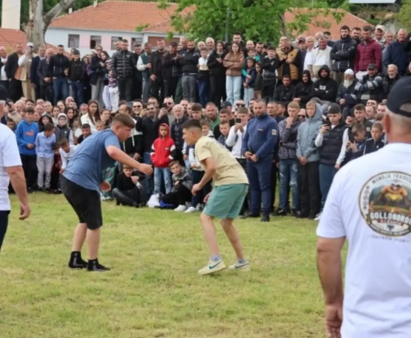 pelivani golo brdo