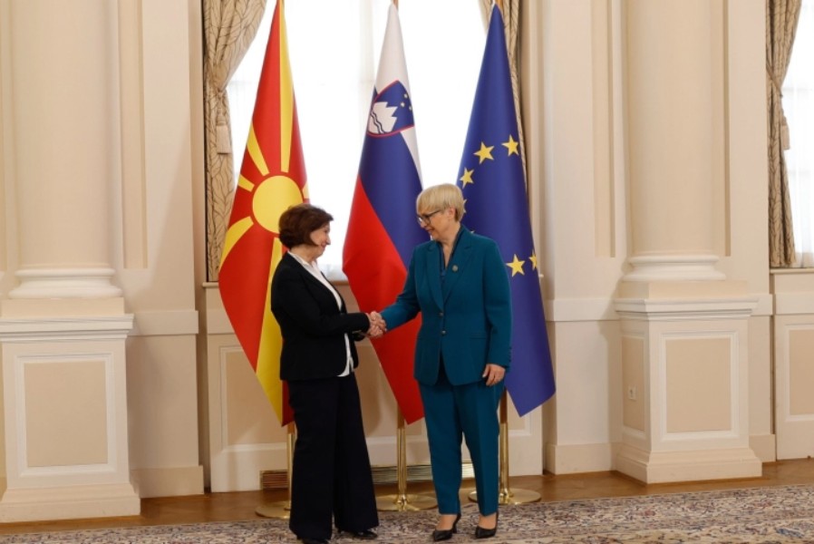 siljanovska davkova pirc musar slovenija