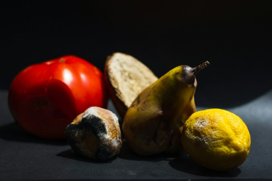 anita-jankovic-Hv5s_VoIRJU-unsplash