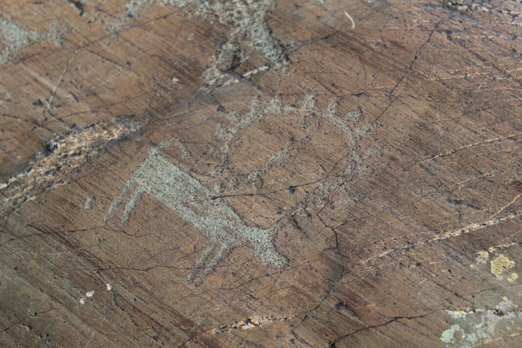 design2business-petroglyph-7168991