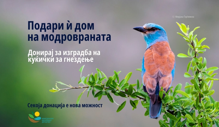 МЕД со акција за заштита на модровраната, граѓаните може да донираат за куќарки